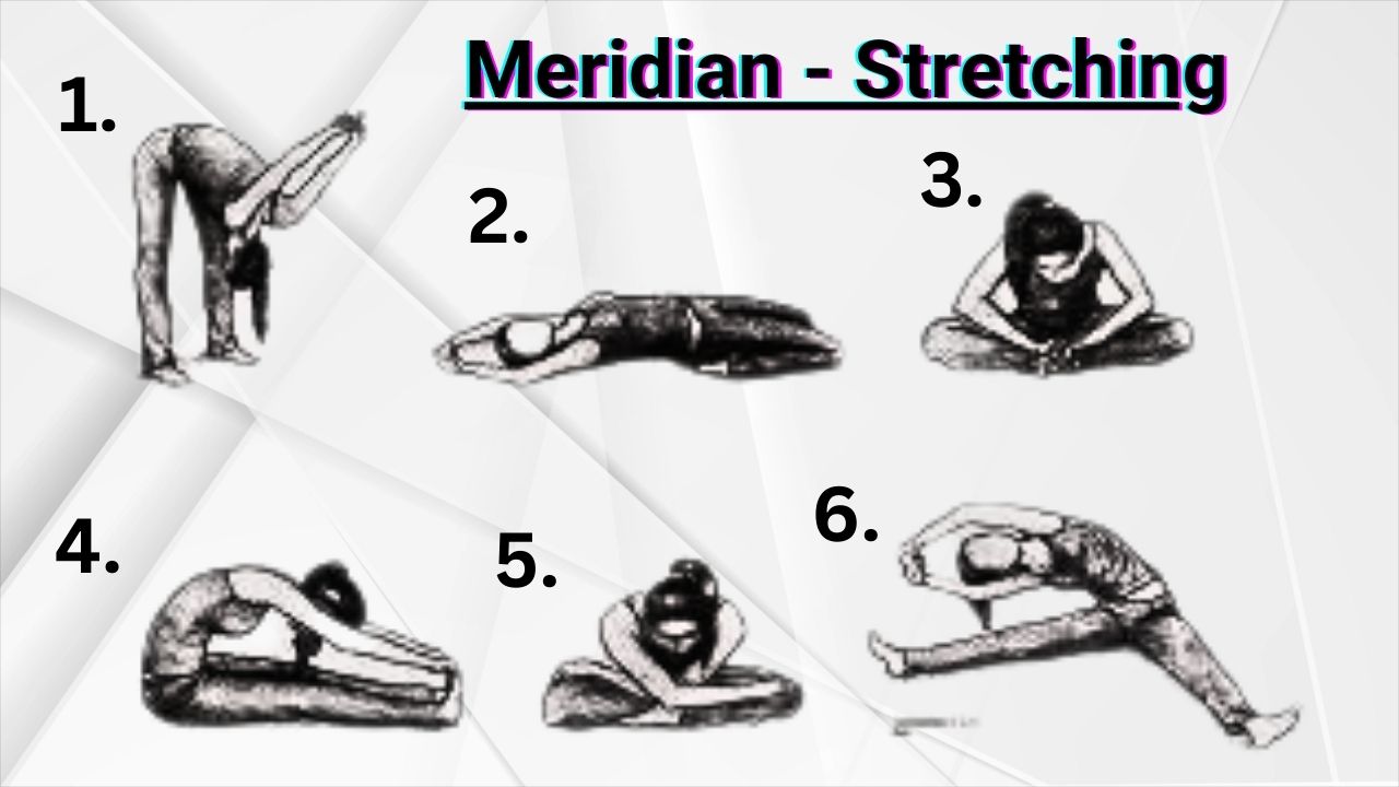 Meridiane Stretching